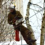 Удаление спил деревьев в Щёлковском районе и Щёлково