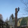 Спилить,удалить дерево в Щелковском районе.