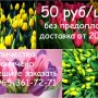 ТЮЛЬПАНЫ НА 8 МАРТА С ДОСТАВКОЙ