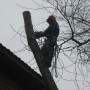 Спилить,удалить деревов в Звенигороде,Горках,Мечниково
