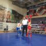 В Фрязино состоялись соревнования по кикбоксингу в открытом ринге